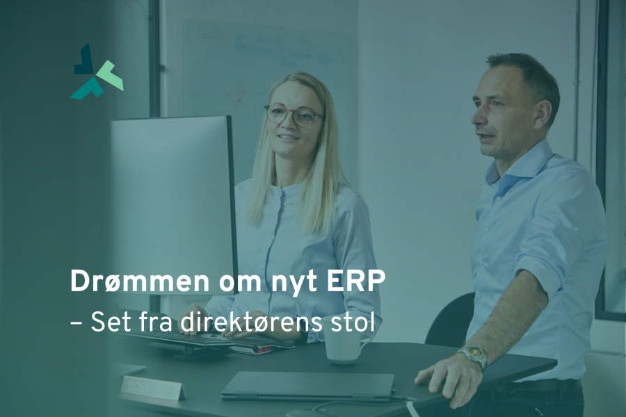 Drømmen om nyt ERP – set fra direktørens stol, GovernIT